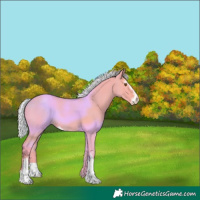 Horse Color:Watercolor Silver Grullo Sabino Appaloosa 