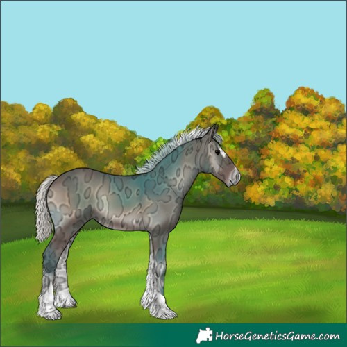 Horse Color:Silver Blue Onyx Ice Sabino Tobiano