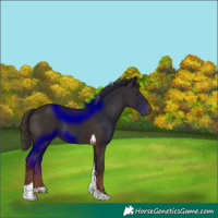 Horse Color:Liver Chestnut Tobiano 