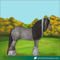 Horse Color:Liver Chestnut Ice Tobiano 