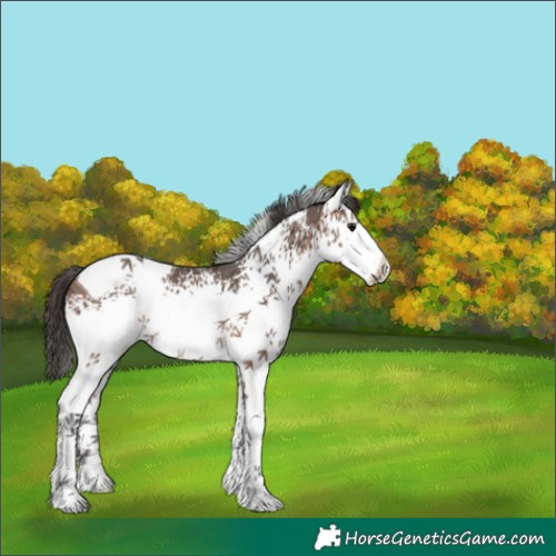 Horse Color:White Spotted Bay Ice Tobiano 