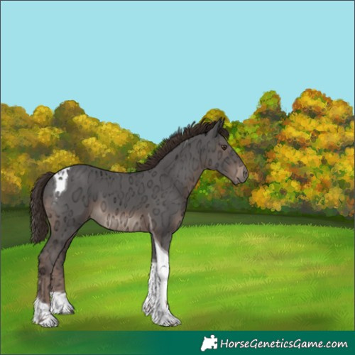 Horse Color:Liver Chestnut Ice Tobiano 