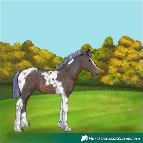 Horse Color:Painted Silver Brown Ice Sabino Tobiano 