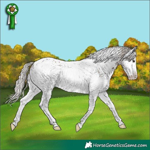 Horse Color:White Spotted Silver Grullo Tobiano 