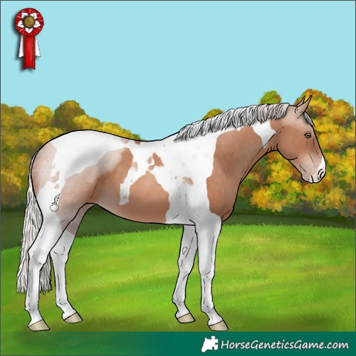 Horse Color:Silver Sable Champagne Tobiano 