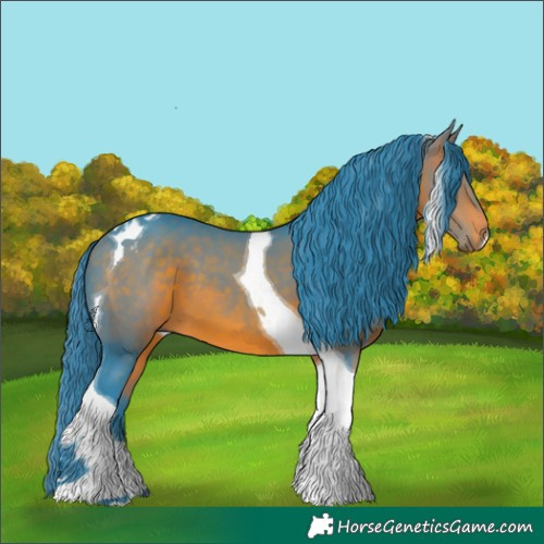 Horse Color:Watercolor Bay Tobiano 