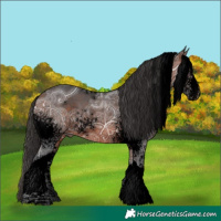 Horse Color:Void White Spotted Bay Ice Tobiano 