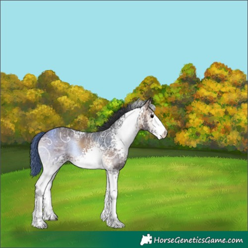 Horse Color:White Spotted Bay Ice Onyx 