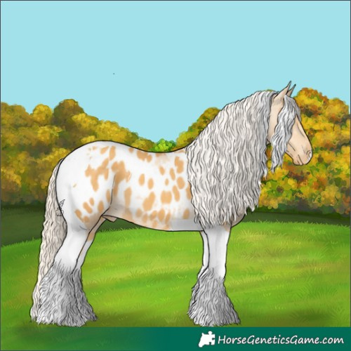 Horse Color:Gold Cream Champagne Tobiano Appaloosa 