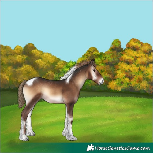 Horse Color:Liver Red Onyx Tobiano 