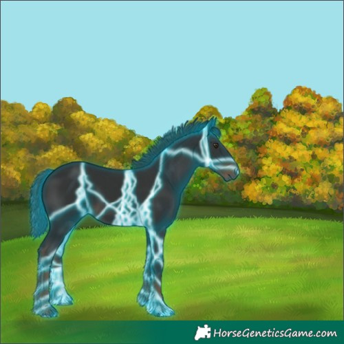 Horse Color:Thunderstruck Liver Chestnut 