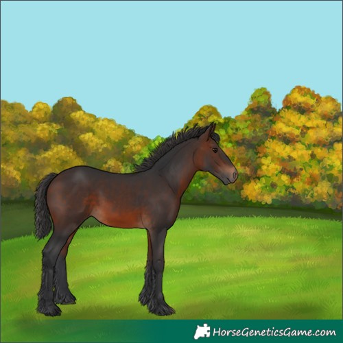 Horse Color:Brown 