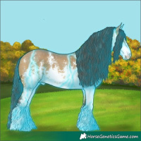 Horse Color:Thunderstruck White Spotted Buckskin Sabino 