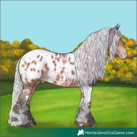 Horse Color:Silver Bay Mushroom Tobiano Near Leopard 