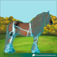 Horse Color:Void Thunderstruck White Spotted Chestnut 