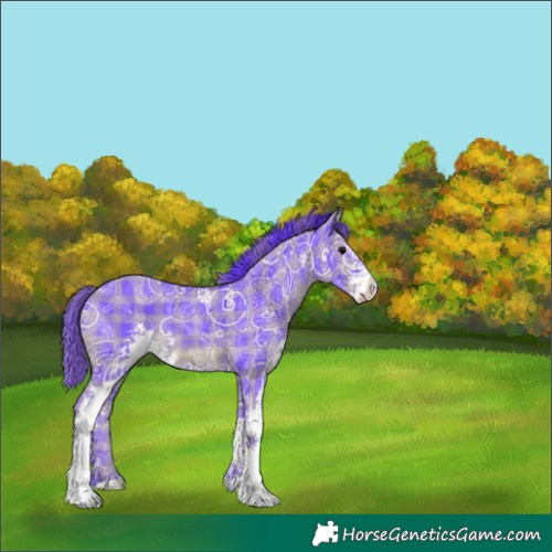 Horse Color:Watercolor Plaid  Black Ice Sabino 