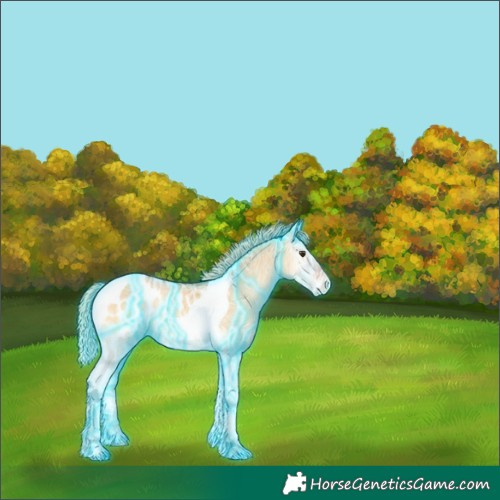 Horse Color:Thunderstruck Palomino Ice Onyx Tobiano Appaloosa 