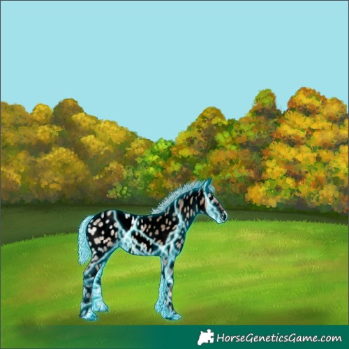 Horse Color:Void Thunderstruck Silver Grullo Ice Onyx Appaloosa 