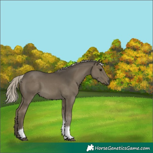 Horse Color:Silver Smoky Grullo Tobiano 