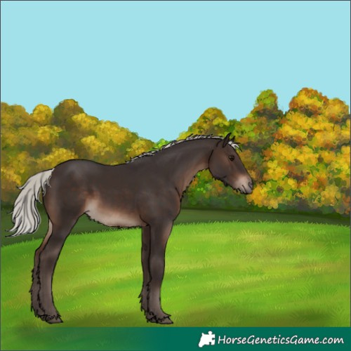 Horse Color:Silver Brown 