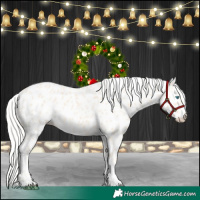 Horse Color:Cremello Appaloosa 
