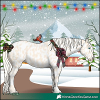 Horse Color:Cremello Near Leopard 