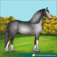 Horse Color:Gray White Spotted Liver Chestnut Tobiano 