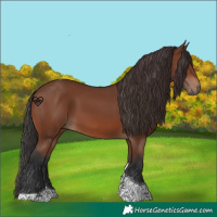 Horse Color:Brown Tobiano Rabicano 
