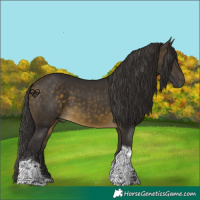 Horse Color:Buckskin Tobiano 