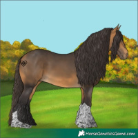 Horse Color:Buckskin Tobiano 