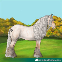 Horse Color:Silver Bay Roan Pearl 