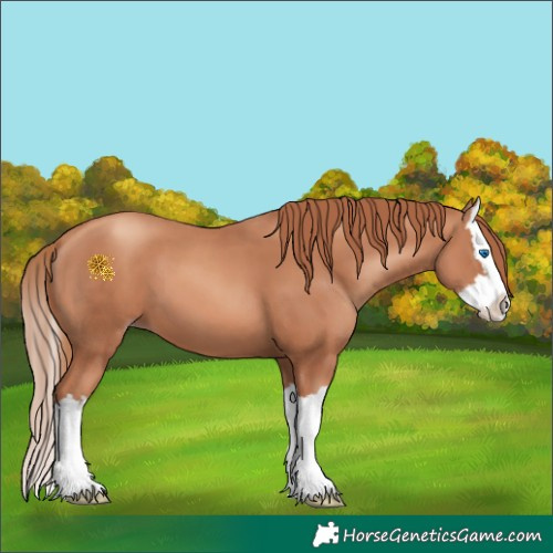 Horse Color:Gold Champagne Splash 