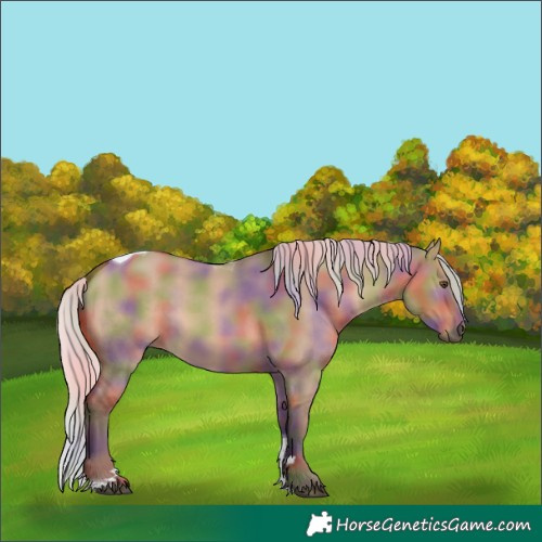 Horse Color:Nacre Silver Bay Dun Tobiano 