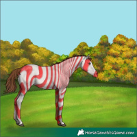 Horse Color:Red Dun 