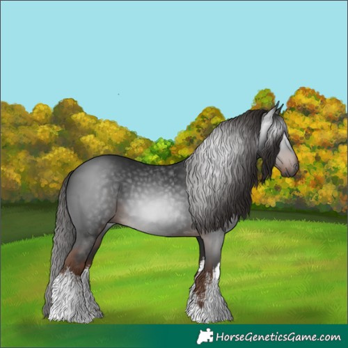 Horse Color:Gray White Spotted Liver Chestnut