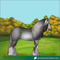Horse Color:Gray White Spotted Liver Chestnut 