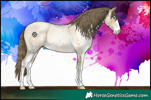 Horse Color:White Spotted Buckskin Roan Pearl Rabicano 