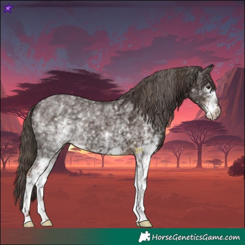 Horse Color:White Spotted Liver Chestnut