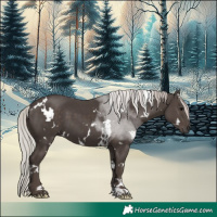 Horse Color:White Spotted Silver Black 
