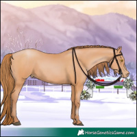 Horse Color:Chocolate Bay Pearl