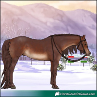 Horse Color:Chocolate Bay 