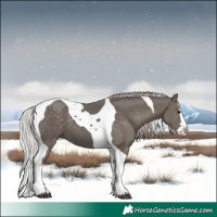 Horse Color:Silver Black Splash Tobiano 