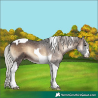 Horse Color:White Spotted Silver Brown Onyx Tobiano 