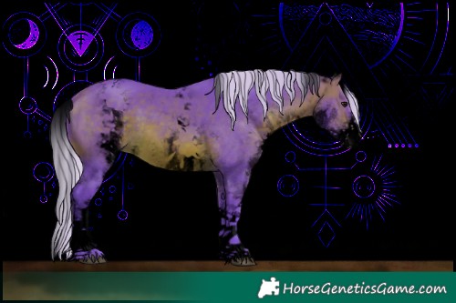 Horse Color:Void Watercolor White Spotted Silver Brown Sabino 