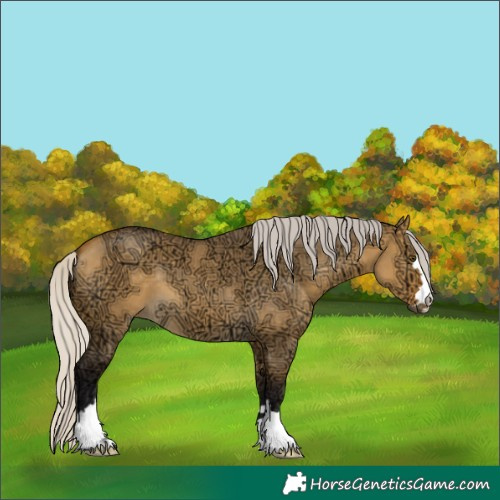 Horse Color:Silver Buckskin Ice Dun 