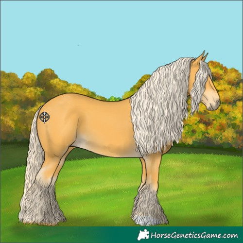 Horse Color:Palomino 
