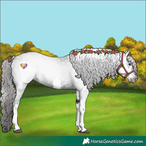 Horse Color:Gray White Spotted Liver Chestnut 