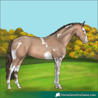 Horse Color:Amber Champagne Sabino Tobiano Varnish and Amber Champagne Sabino Splash Tobiano Varnish