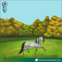 Horse Color:White Spotted Liver Red Roan 