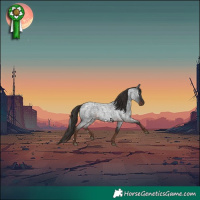 Horse Color:White Spotted Liver Red Roan 